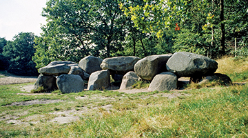 Hunebed in de omgeving van Roden